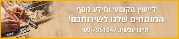 ייעוץ-מקצועי